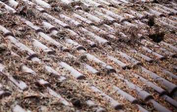 Pinfold roof cleaning companies